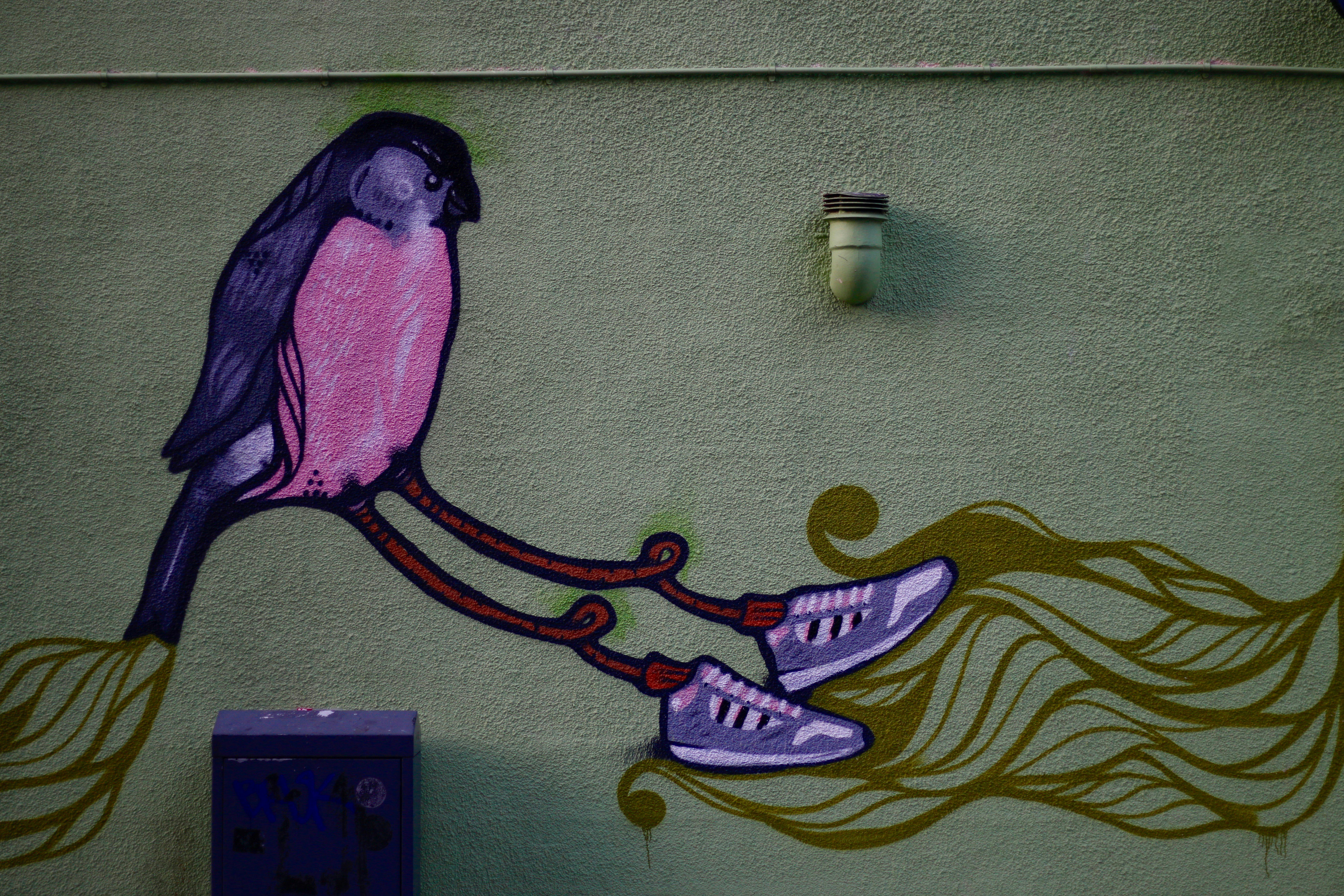 wall art of purple and pink bird